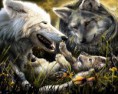 /album/hayvanlar-alemi/www-wallpapersharing-com-wolf-parents-with-kid-jpg/